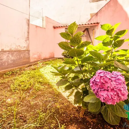 Vivenda Da Bela Vista Konukevi *